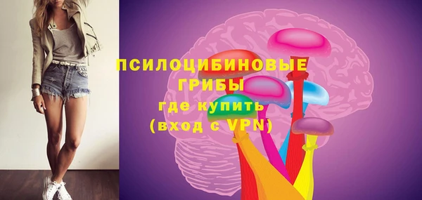 дурь Липки